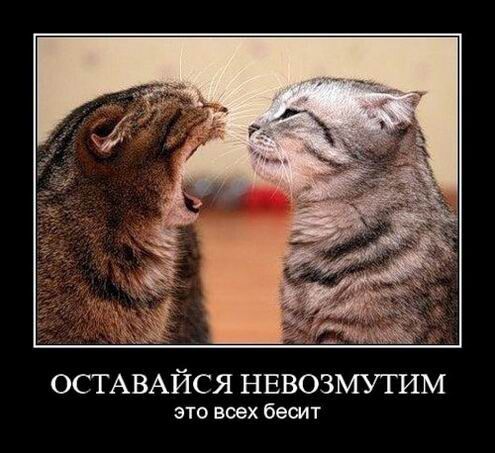 ОСТ АВАЙСЯ НЕВОЗМУТИМ это всех бесит