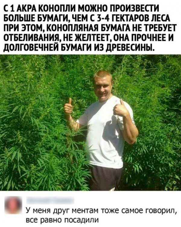 С 1 АКРА КОИОПЛИ МОЖНО ПРОИЗВЕСГИ БОЛЬШЕ БУМАГИ ЧЕМ С 3 4 ГЕКТАРОВ ЛЕЦ ПРИ ЭТОМ КОИОПЛЯНАЯ БУМАГА НЕ ТРЕБУЕТ ОТБЕЛИВАНИЯ НЕ ЖЕЛТЕЕТ ОНА ПРОЧНЕЕ И дОЛГОВЕЧНЕИ БУМАГИ ИЗ дРЕВЕСИНН У меня друг ментам тоже самое говорил все равно ПОСЗДИЛИ