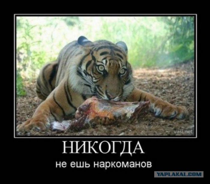 не еШЬ НЗРКОМЗНОБ