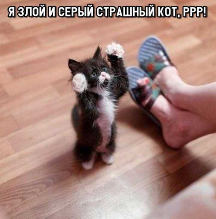 ШЭЩЁЁЩЁШШЩШШШШНЖ