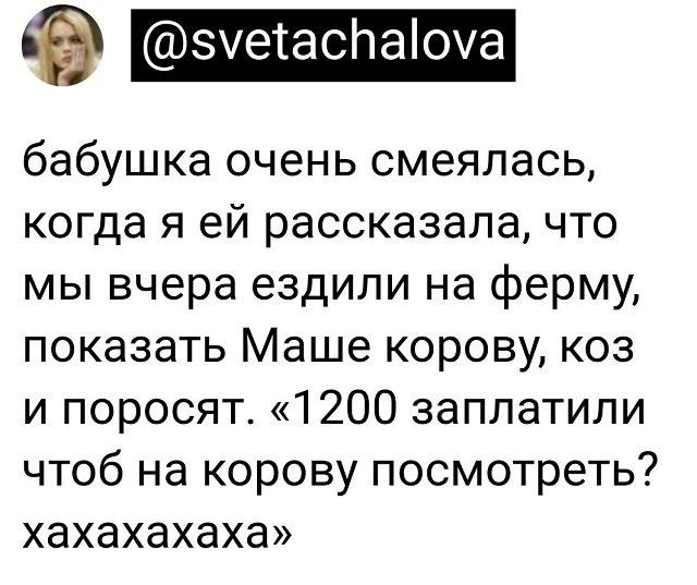 зуетаспаіоча бабушка очень смеялась когда я ей рассказала что мы вчера ездили на ферму показать Маше корову коз и поросят 1200 заплатили чтоб на корову посмотреть хахахахаха