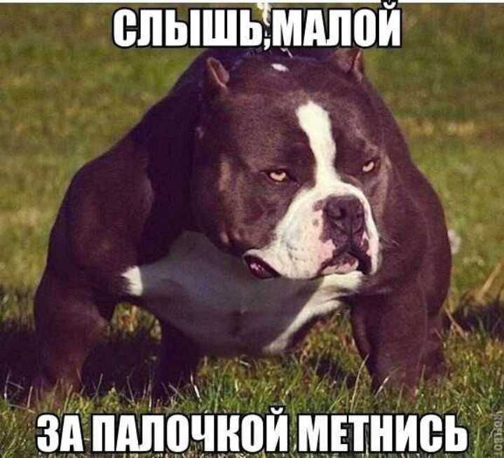 епышьмдпой д_4л_ ЗдпШПЧЁПИМПНИЁЫ г