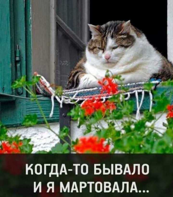 1 КОГДА ТО БЫВАЛО И Я МАРТОВАПА