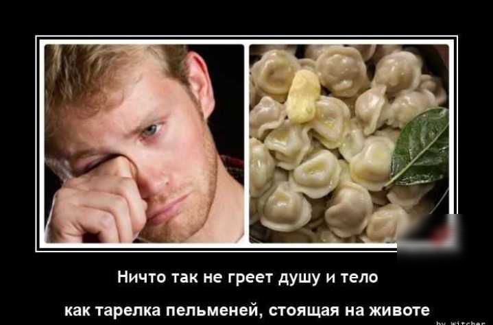 Ничю так не гии душу и шла тарелка пельменей паяная на живые