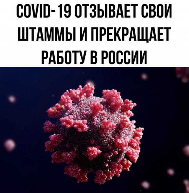 СОШП Ю ОТЗЫВАЕТ СВОИ ШТАММЫ И ПРЕКРАЩАЕТ РАБОТУ В РОССИИ