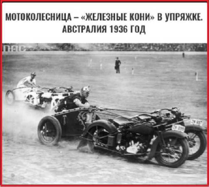 МОШКОЛЕСНИЦА ЖЕЛЕЗНЫЕ КПНИ В УПРЯЖКК АВСТРАЛИЯ 1936 Шд _ і 1