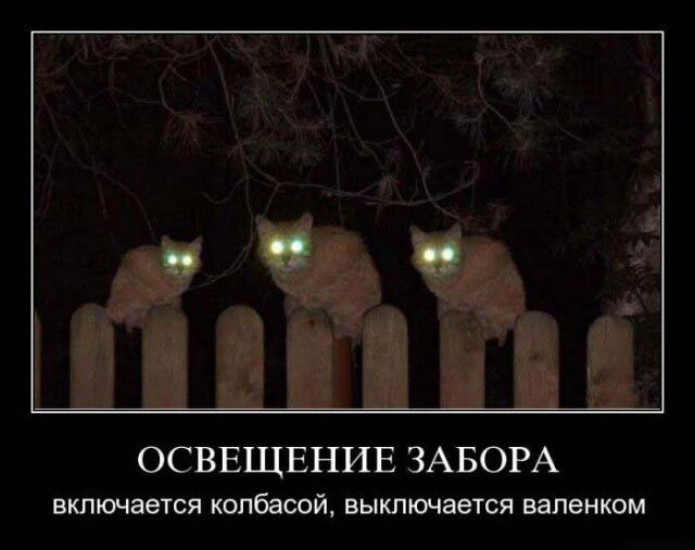 ОСВЕЩЕНИЕ ЗАБОРА включается юппбашй выключается пленкам