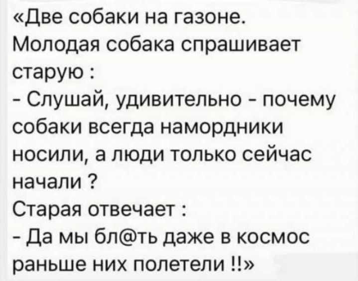 Две собаки на газоне Молодая собака спрашивает старую Слушай удивительно почему собаки всегда намордники носили а люди только сейчас начапи Старая отвечает да мы бпть даже в космос раньше них полетели