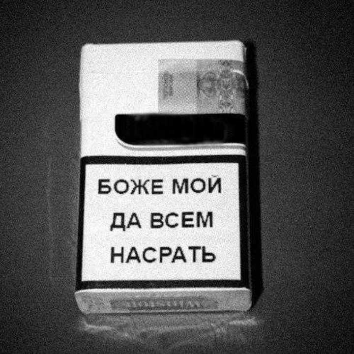 БОЖЕ МОИ ДА ВСЕМ НАСРАТЬ