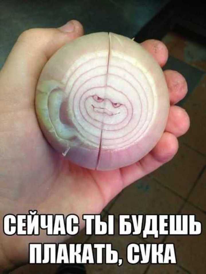 СЕЙЧАС ТЫ БУДЕШЬ ППАШПЪ ШПД