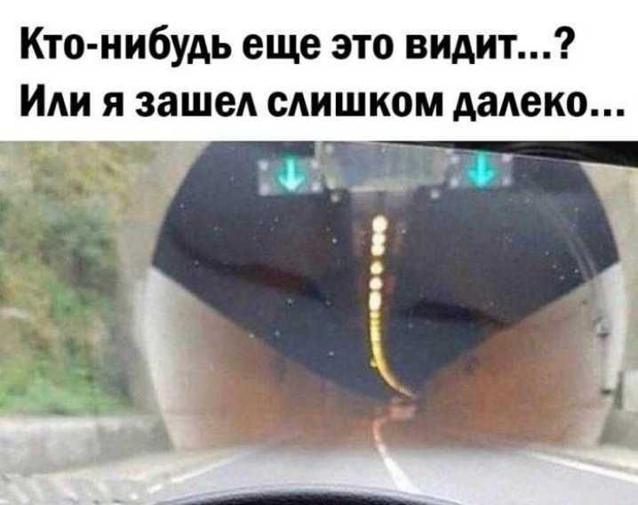 Кто нибудь еще это видит Или я зашел слишком далеко ж 4231