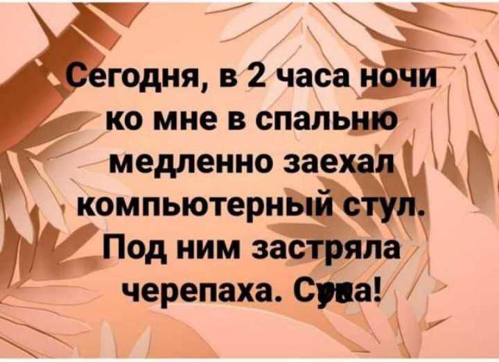 годня в 2 ко мне в спальню медленно лещ компьютернЁ Под ним зас черепаха р аа и