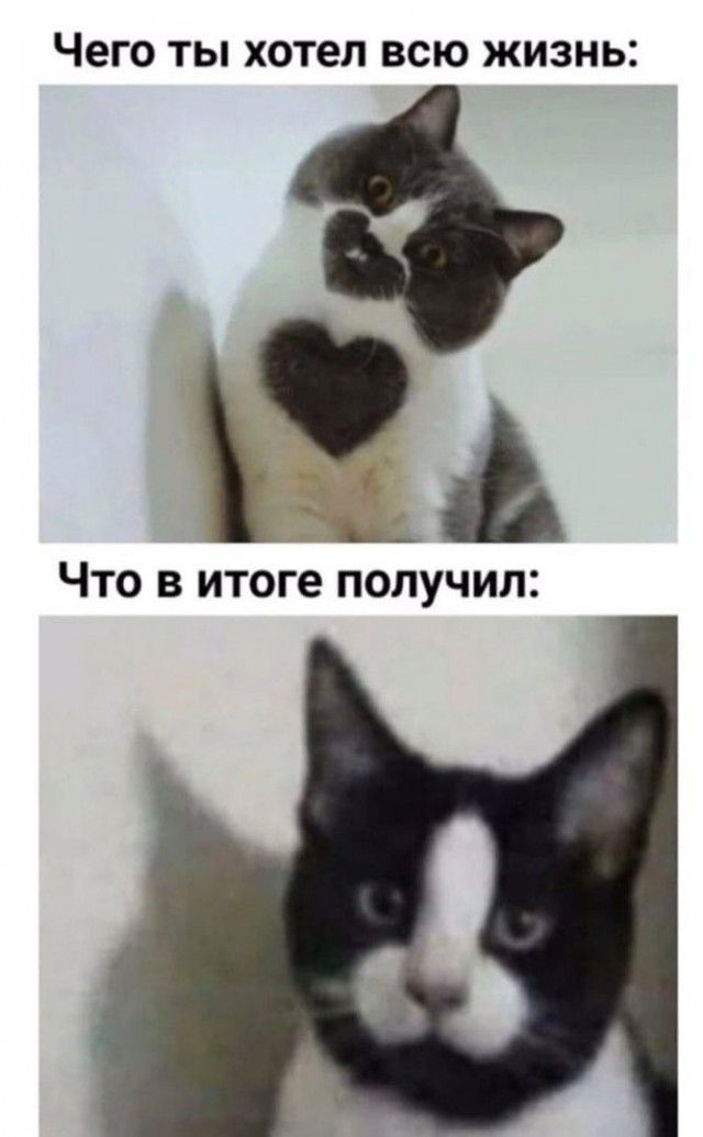 ЧЕГО ТЫ хотел ВСЮ жизнь А ЧТО В итоге ПОЛУЧИЛ