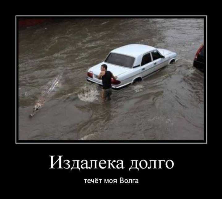 Издалека долго ШМ ион Вип