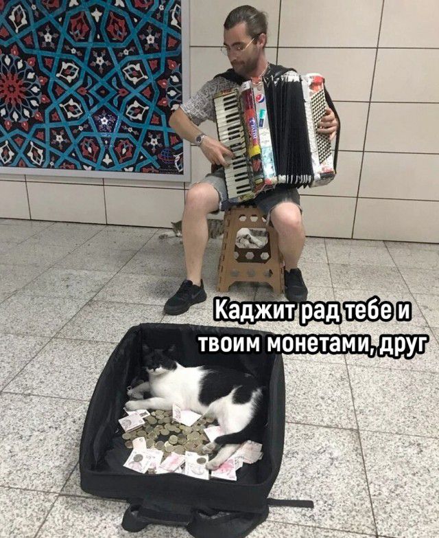 твоим монетамидруг