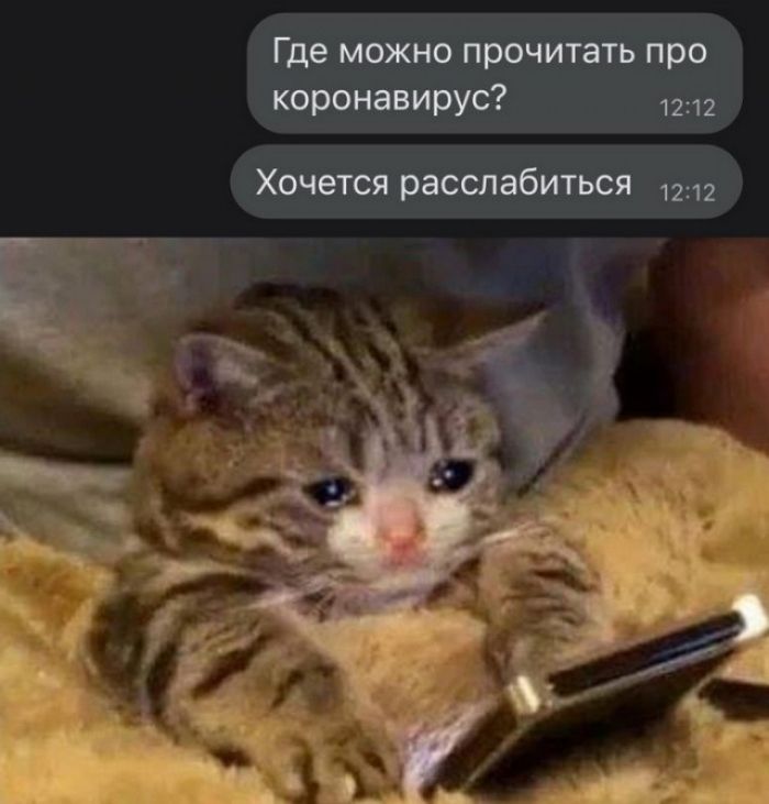 Где можно прочитать про коронавирус 1212 Хочется расслабиться 1 м