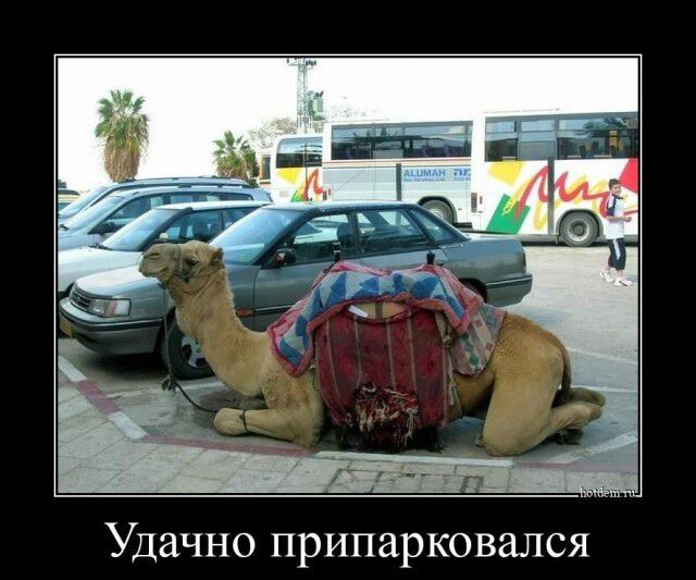 Удачно припарковался