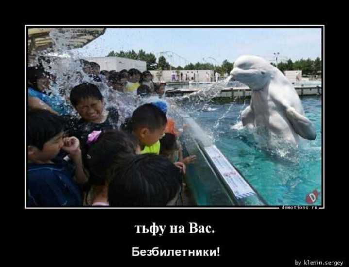 тьфу на Вас Беэипетиики