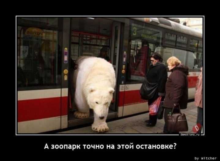 А камри точно и мой остановке