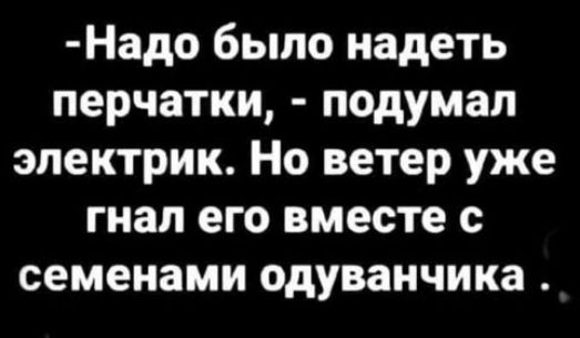 Надо было надеть перчатки подумал электрик Но ветер уже гнал его вместе с семенами одуванчика