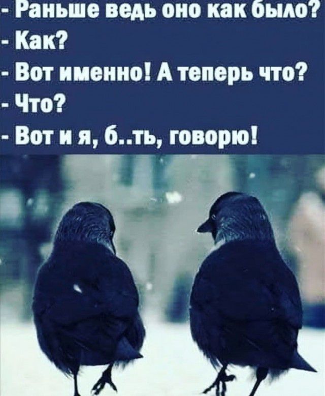 Раньше ведь оно как было Как Вот именно А теперь что Что Вот и я 6ть говорю