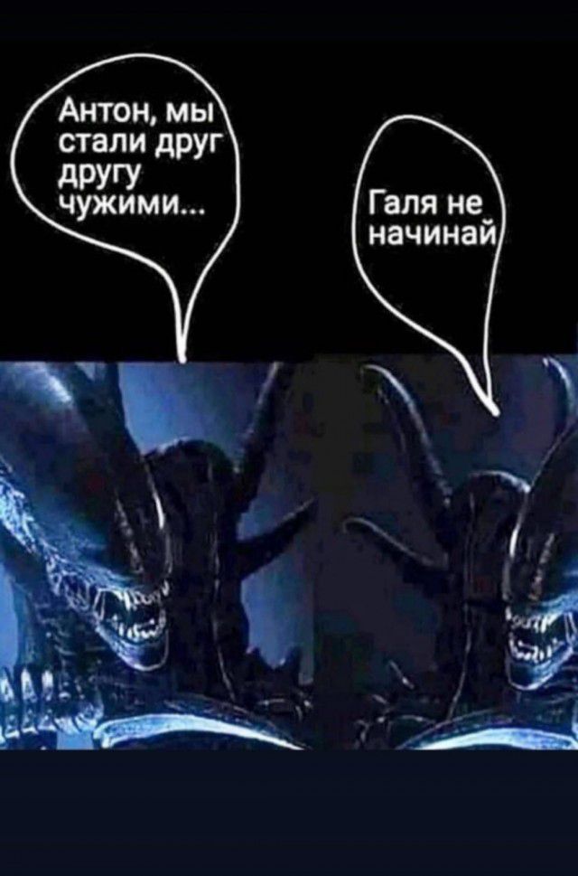 Антон мы стали друг