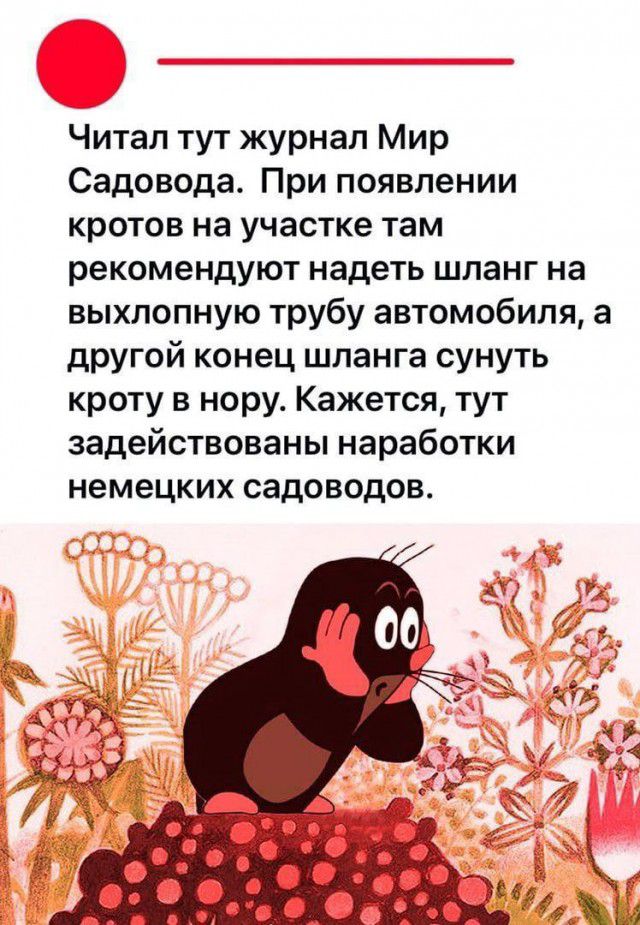 Читал тут журнал Мир Садовода При появлении кротов на участке там рекомендуют надеть шланг на выхлопную трубу автомобиля а другой конец шланга сунуть кроту в нору Кажется тут задействованы наработки немецких садоводовт