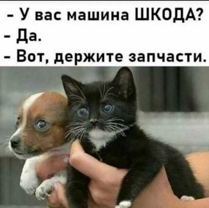 У вас машина ШКОДА да Вот держите запчасти