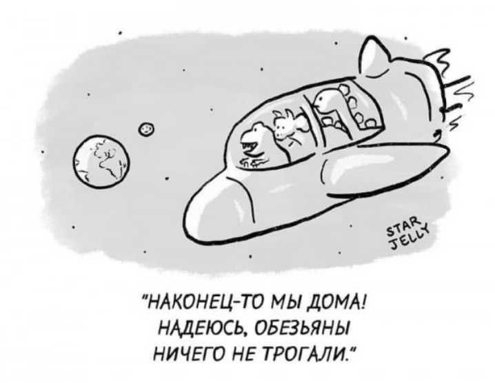 НАКОНЕЦ т МЫ дОИА НАДЕЮСЬ ОБЕЗЬЯНЫ НИЧЕГО НЕ ТРОГАЛИ