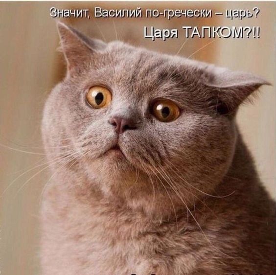 Зэзшшпцмшш царь Цари гАгнопт _ м С