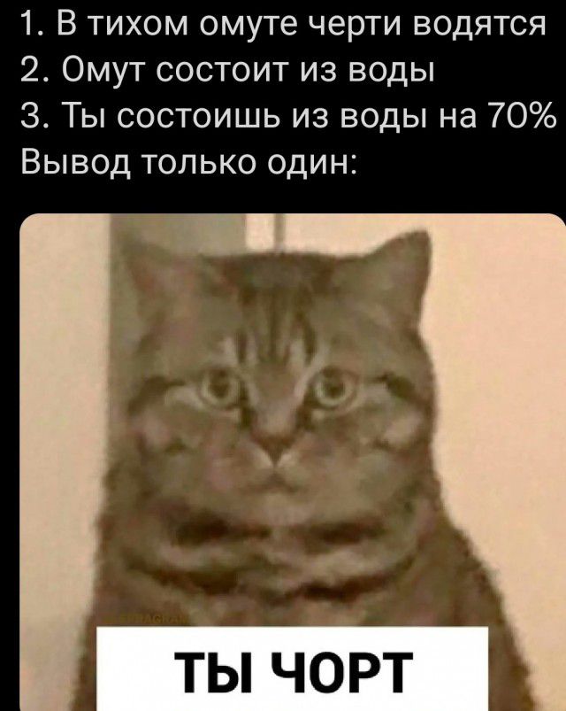 1 В тихом омуте черти водятся 2 Омут состоит из воды 3 Ты состоишь из воды на 70 Вывод только один ТЫ ЧОРТ