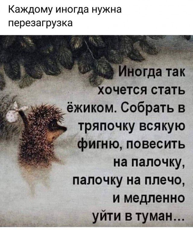 Каждому иногда нужна перезагрузка очется стать ёжиком Собрать в тряпочку всякую фигню повесить на палочку палочку на плечо и медленно уйти в туман