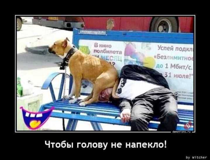 Чтобы голову не напекло