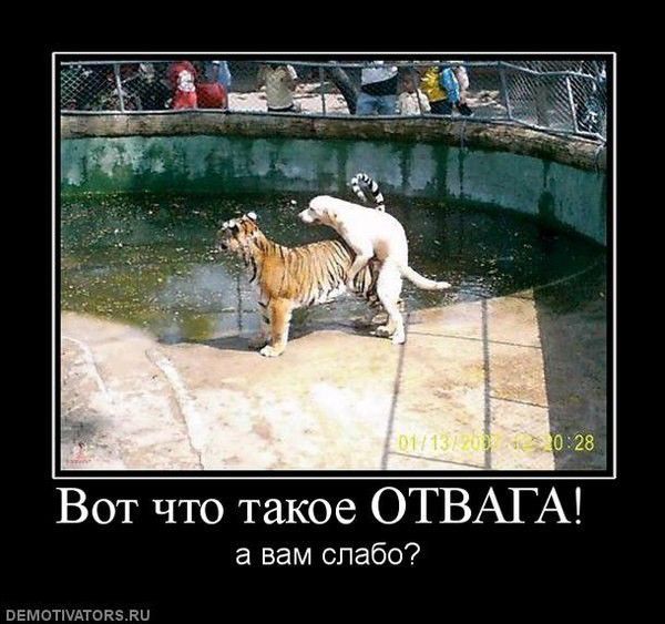 гв Вот что такое ОТВАГ А а вам слабо