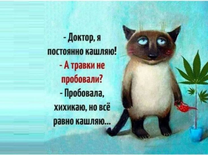 доктор и постаянно кишляю А ие пробе али Пробовала хихикаю но всё равно ишляю