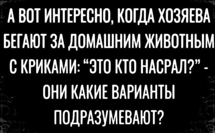 А ВОТ ИНТЕРЕСНО КОГДА ХОЗЯЕВА БЕГАЮТ ЗА ДОМАШНИМ ЖИВОТНЫМ С КРИКАМИ ЭТО КТО НАСРАЛ ОНИ КАКИЕ ВАРИАНТЫ ПОДРАЗУМЕВАЮТ