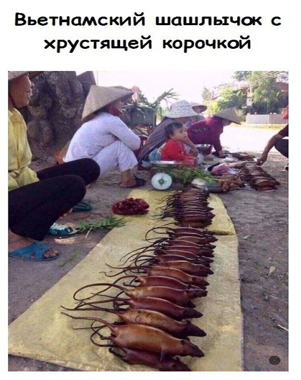 Вьетнамский ШОШЛЫЧШ С хрустящей корочкой