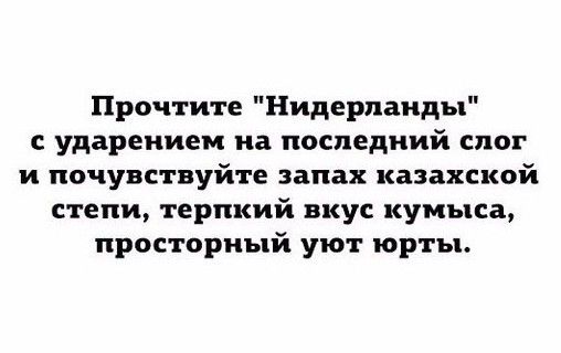 Прочтите Нидерланды ударением на последний слог и почувствуйте запах казахской степи терпкий вкус кумыса просторный уют юрты