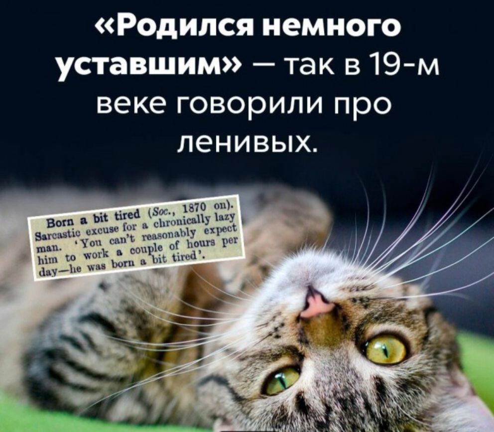 Родился немного уставшим так в19 м веке говорили про ленивых