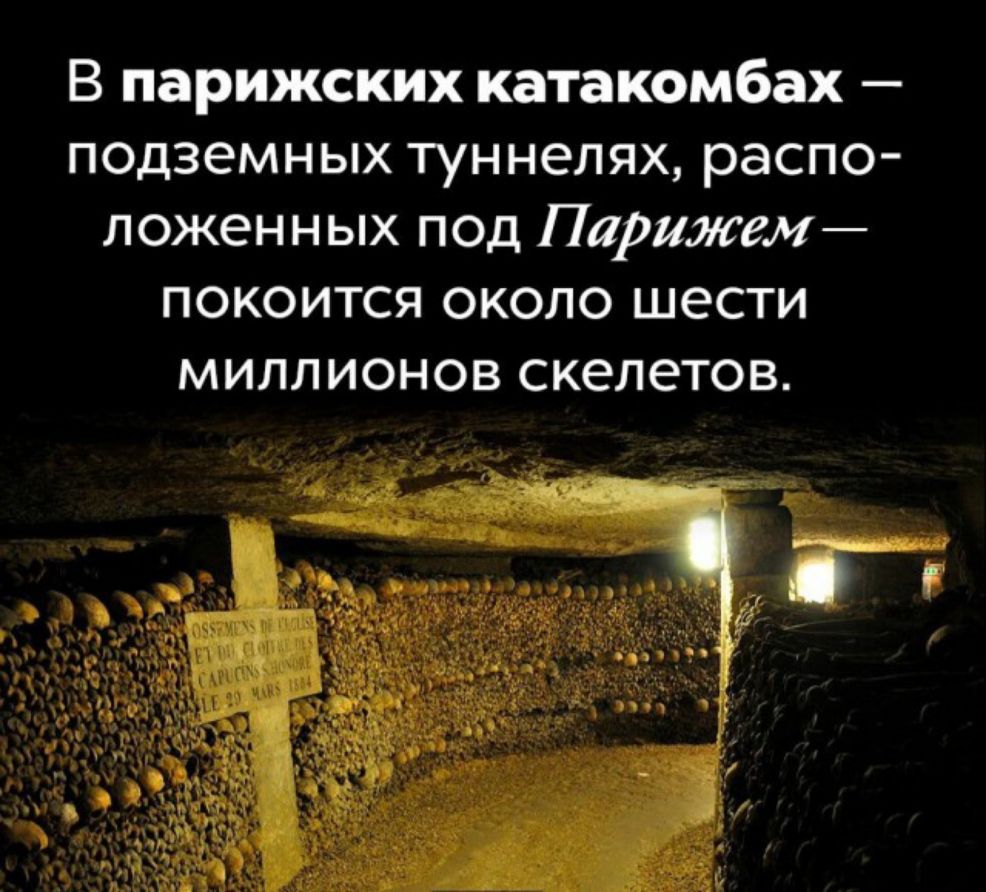 В парижских катакомбах подземных туннелях распо ложенных под Парижем покоится около шести миллионов скелетов