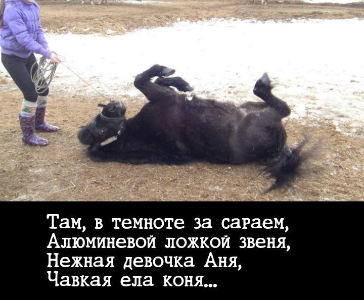Там в темноте за сагаем Апюминевои ложкой звеня Нежная девочка Аня Чавкая ела коня