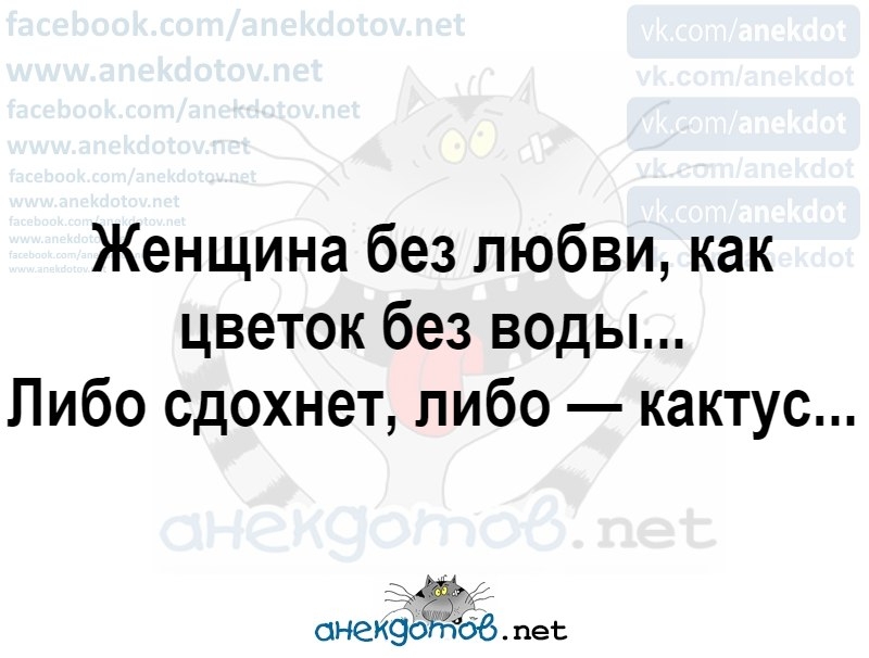 Женщина без любви как цветок без воды Либо сдохнет пибо кактус онеи506 пес