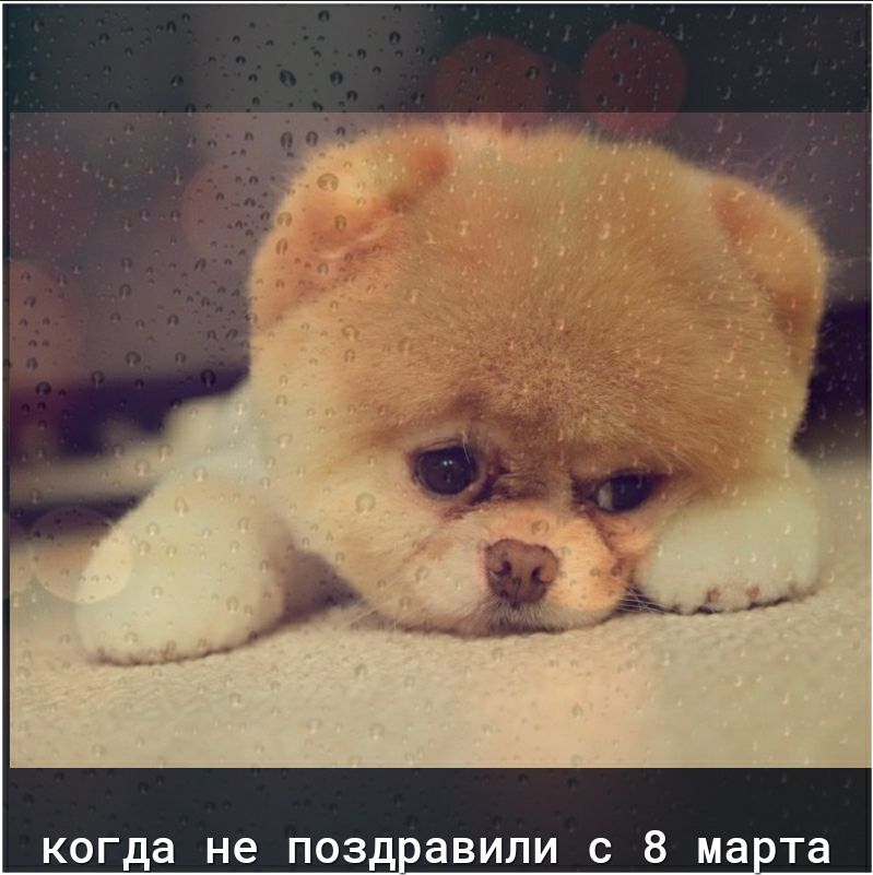 когда не позд авили С 8 мата Юра не выйдет У него голова болит сказала жена вытирая помятую сковородку