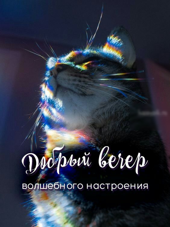 Ебго настроения