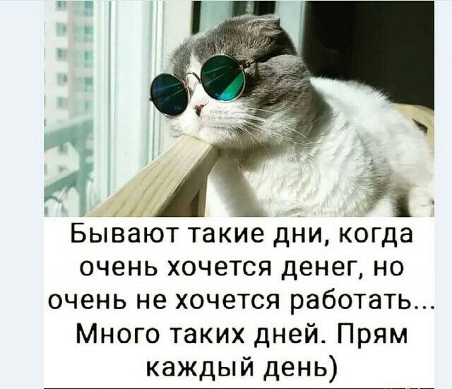 Бывают такие дни когда очень хочется денег но очень не хочется работать Много таких дней Прям каждый день