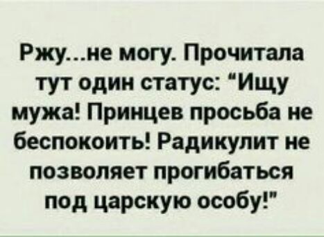 Ржуие могу Прочитала тут один статус Ищу мужа Приицев просьба не беспокоить Радикулит не позволяет прогибаться под царскую особу