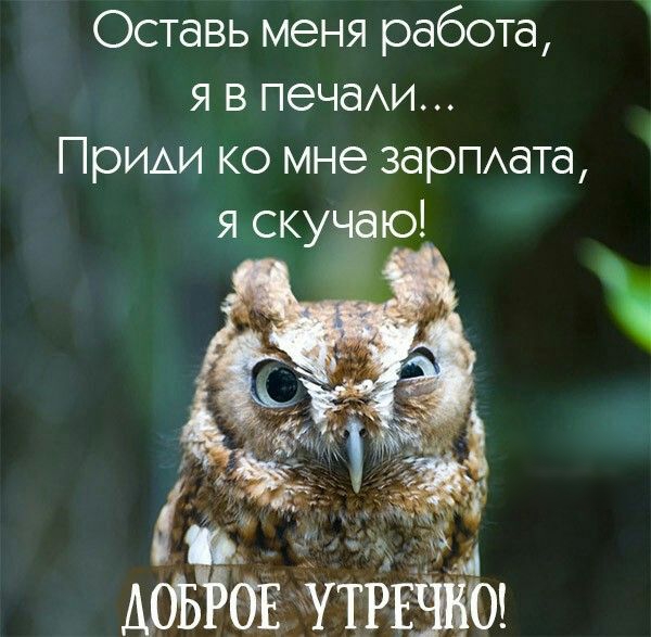 Оставь меня работе я в печам1 Призи ко мне ЗдрПАдТд