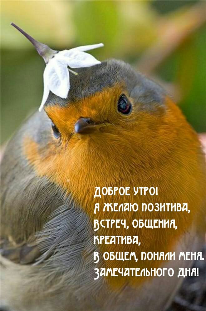 довго чтгог тсадю позитива встгсч овщппип пгсдтивд 5 овщщ попили пипл здппчдтмьпого дип