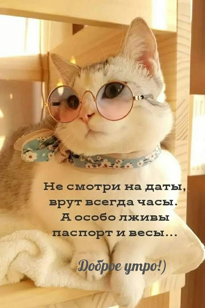 Не смотри на даты врут всегда часы А особо лживы весна и весы Щоб утро