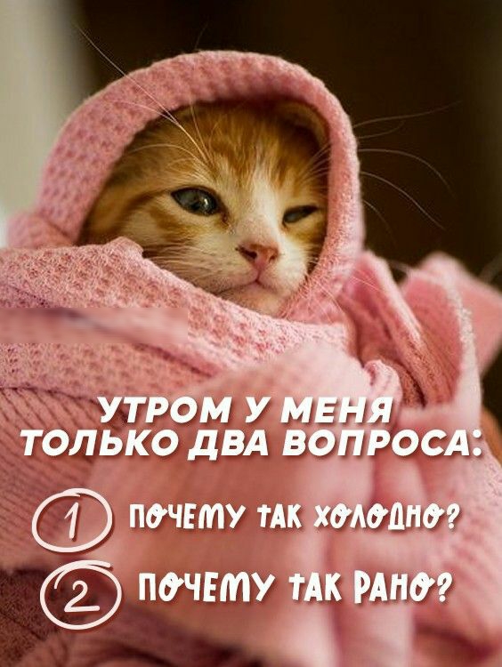 Шнцц у мем ' ё'шл два вопро  почету так холодно? Мт пу так ранф?. ' ы